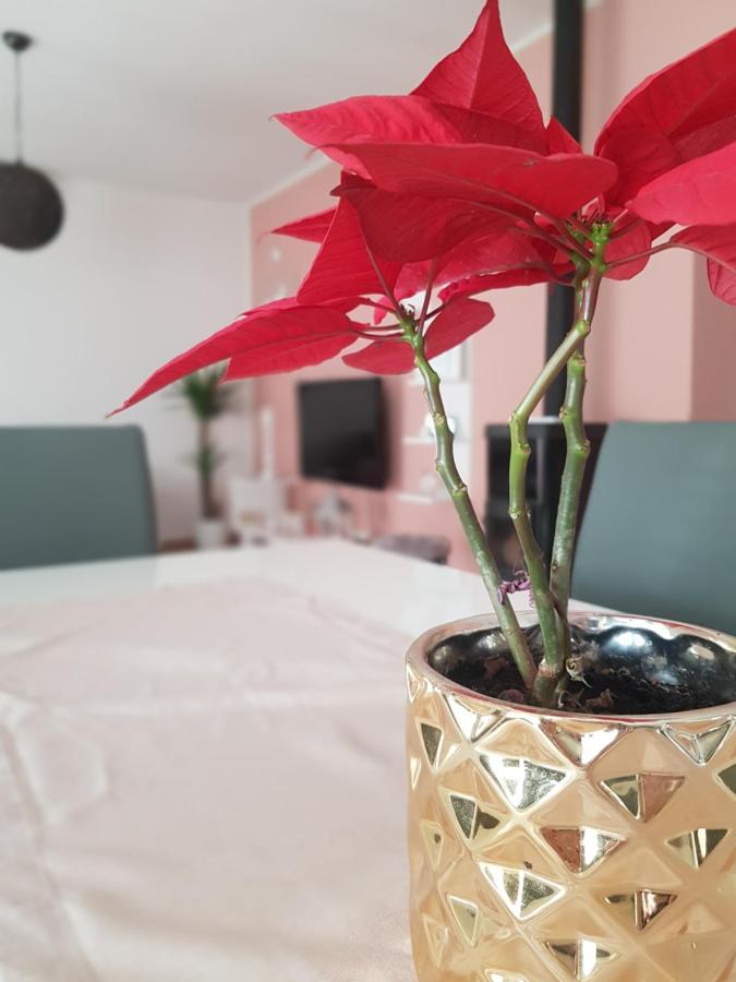 Apartmani Milutin Бродариця Екстер'єр фото
